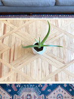 Load image into Gallery viewer, Art-Deco Western Style Coffee Table (Rustic Lath Wood &amp; Black Metal Hairpin Legs)
